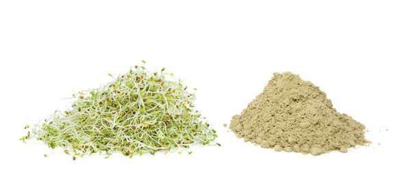 Polypill Joint Supergreens 2X: NEW FORMULATION ARRIVED