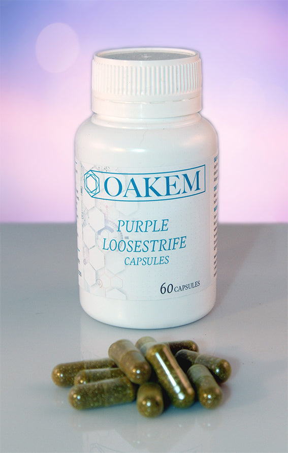 Oakem : Purple Loosestrife 60 Capsules